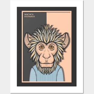 Barbary Macaque Monkey Posters and Art